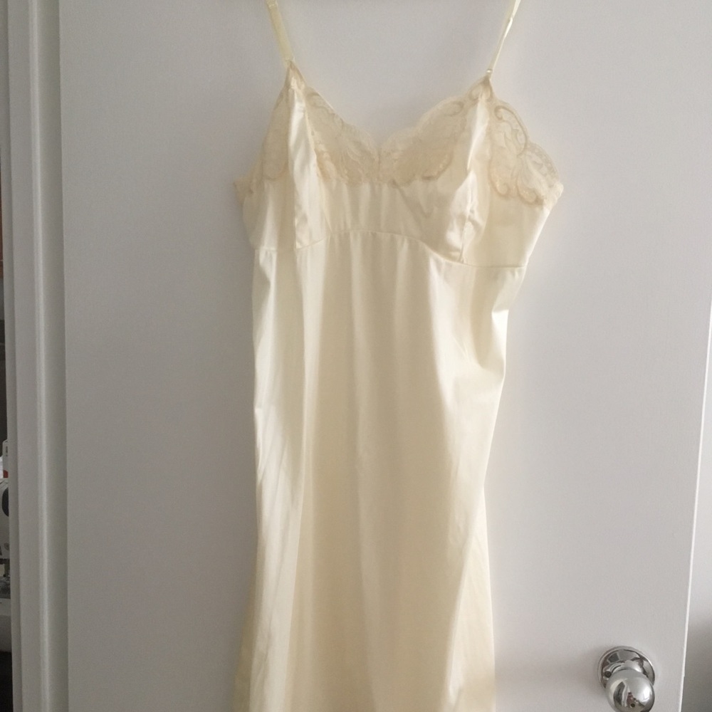 Sexy nylon slip